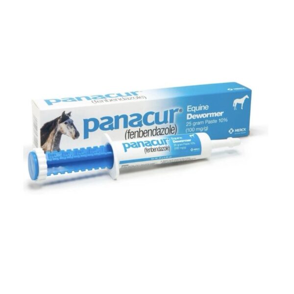 Panacur Dewormer Horse Paste 10%, 100mg | Single_USA