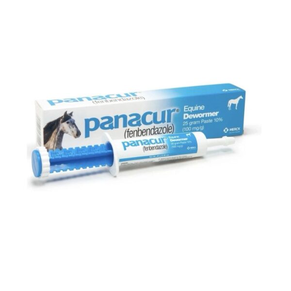 Panacur Dewormer Horse Paste 10%, 100mg | Single_Australia